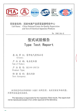 S13-M-100/10型式试验报告