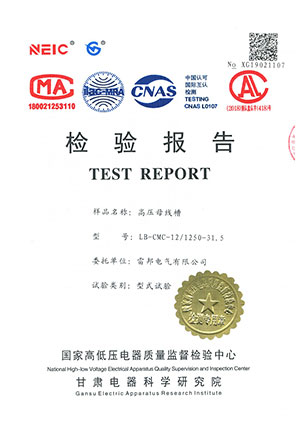 LB-CMC-12/1250-31.5检验报告